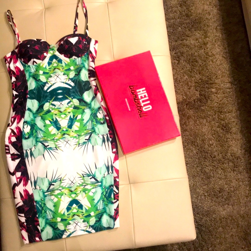 Celeb Boutique Bodycon Dress